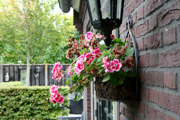 Uncertainty, summer really gone?