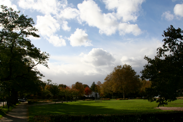 Hopeful vicissitudes