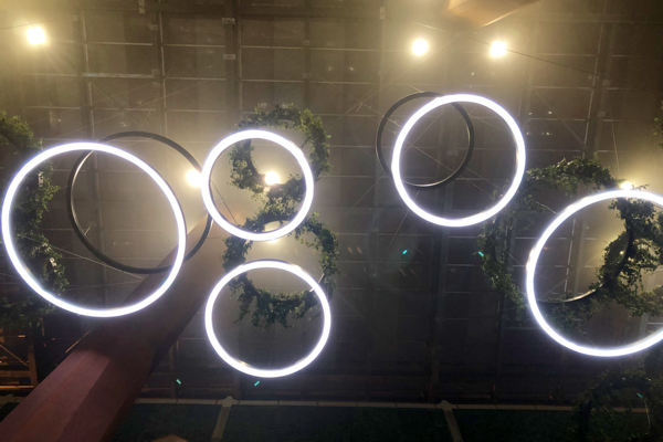 Circles of probabilities